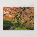 Buscar árboles japoneses postales Otoño