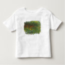 Buscar blur camisetas Flor
