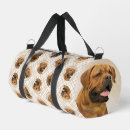 Buscar dogma bolsos Perro