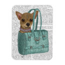 Buscar chihuahua imanes Flores