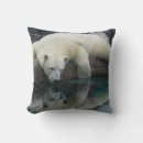 Buscar oso polar blanco cojines Animales