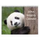 Buscar oso panda calendarios Tigre