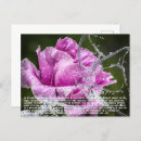 Buscar significado de la flor postales Para todos