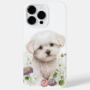 Buscar bichon frise iphone fundas Cachorro