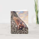 Buscar oye tarjetas General y unisex