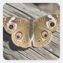 Buscar antena pegatinas Exterior