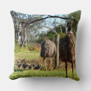 Buscar emu lindo Emus