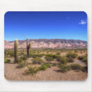 Buscar cactus alfombrillas de raton Fotografía