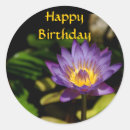 Buscar lirio de agua pegatinas Cumpleaños