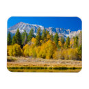 Buscar sierra nevada imanes Bosque