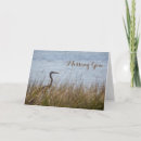 Buscar garza de gran azul tarjetas Vida silvestre