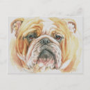Buscar pintura del perro postales Bulldog