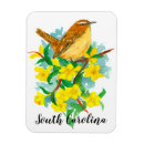 Buscar wren imanes Pájaro