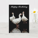 Buscar pluma fotograficas tarjetas Para todos