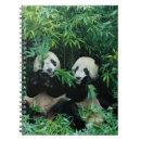 Buscar pandas cuadernos 6 º pesadilla
