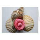 Buscar seashell postales Caracol