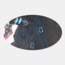 Buscar caballo árabe pegatinas Arábigo