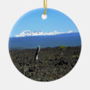 Buscar lava adornos Volcán