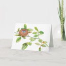 Buscar jerarquía tarjetas Jerarquía del pájaro