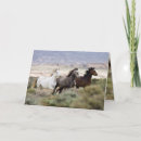 Buscar yeguas salvajes tarjetas Correr