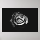 Buscar escala posters Rosa