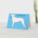 Buscar la argentina tarjetas General y unisex