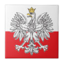 Buscar pulimento azulejos Polski