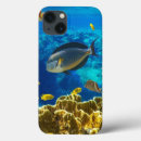Buscar samsung fundas Coral