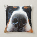 Buscar perros de montaña bernese cojines Lindo