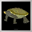 Buscar diamantes negros posters General y unisex