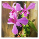 Buscar enmarcado azulejos Flores