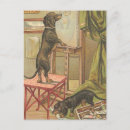 Buscar naughty postales Perros