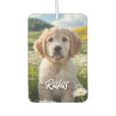 Buscar dueño del perro coche accesorios General y unisex