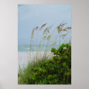 Buscar mari posters Playa