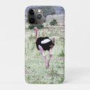 Buscar avestruz iphone fundas Pájaros
