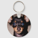 Buscar doberman pinscher llaveros Perritos