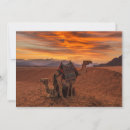 Buscar camellos tarjetas Puesta de sol