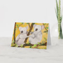 Buscar osos de koala tarjetas Australia