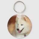 Buscar samoyedo llaveros Para todos
