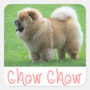 Buscar chow chow pegatinas Perros