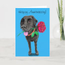 Buscar labrado tarjetas Perro