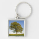 Buscar árbol llaveros Campo