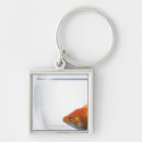 Buscar goldfish llaveros Animal