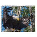 Buscar rapaz calendarios Águila