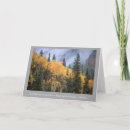 Buscar álamo temblón tarjetas Álamos tembloses