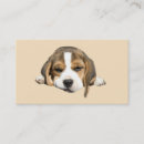 Buscar beagle tarjetas de visita Perrito