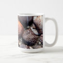 Buscar seashells tazas botellas Costa