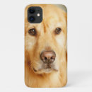Buscar perro del golden retriever iphone fundas Recuperador de oro