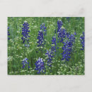 Buscar claudia postales Flor