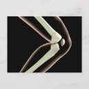 Buscar partes del cuerpo postales Huesos